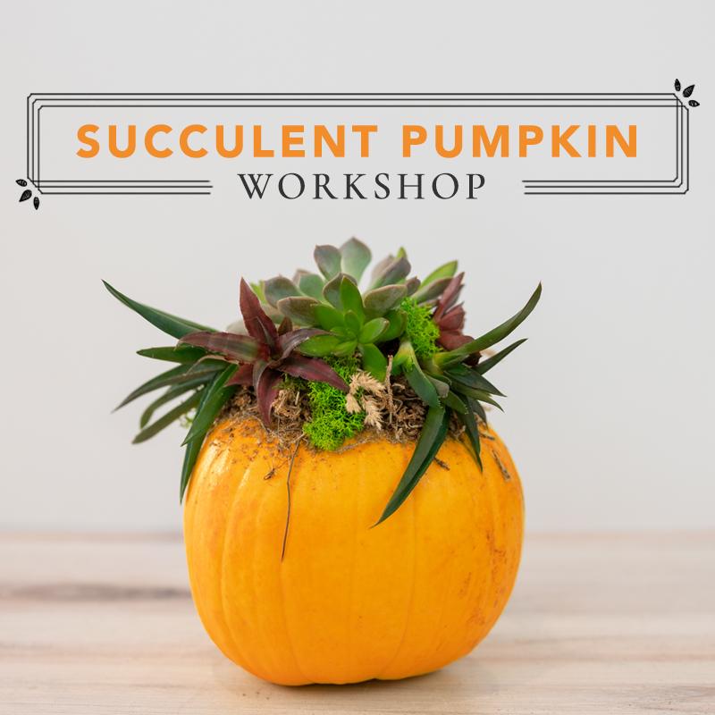 Succulent Pumpkin Workshop