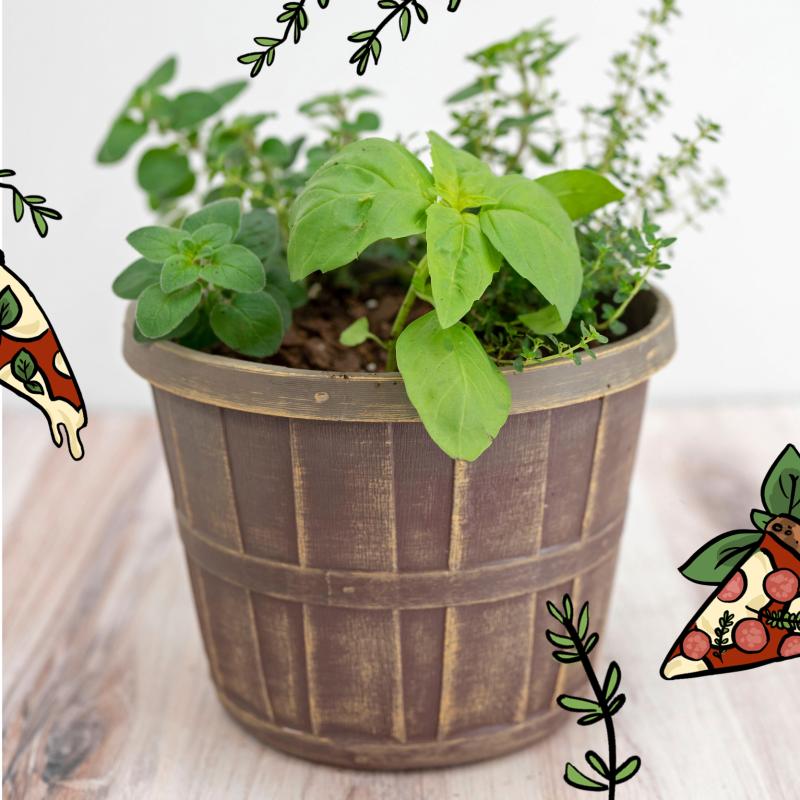 Pizza Garden Workshop for Kids