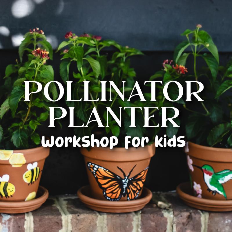 Pollinator Planter Workshop for Kids