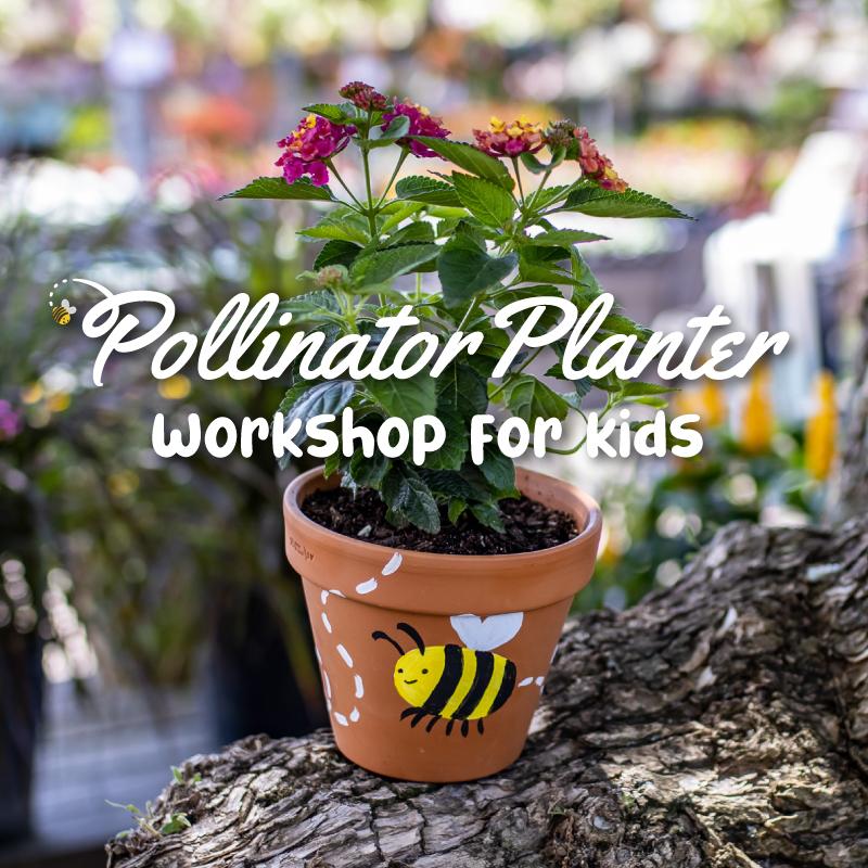 Pollinator Planter Workshop for Kids