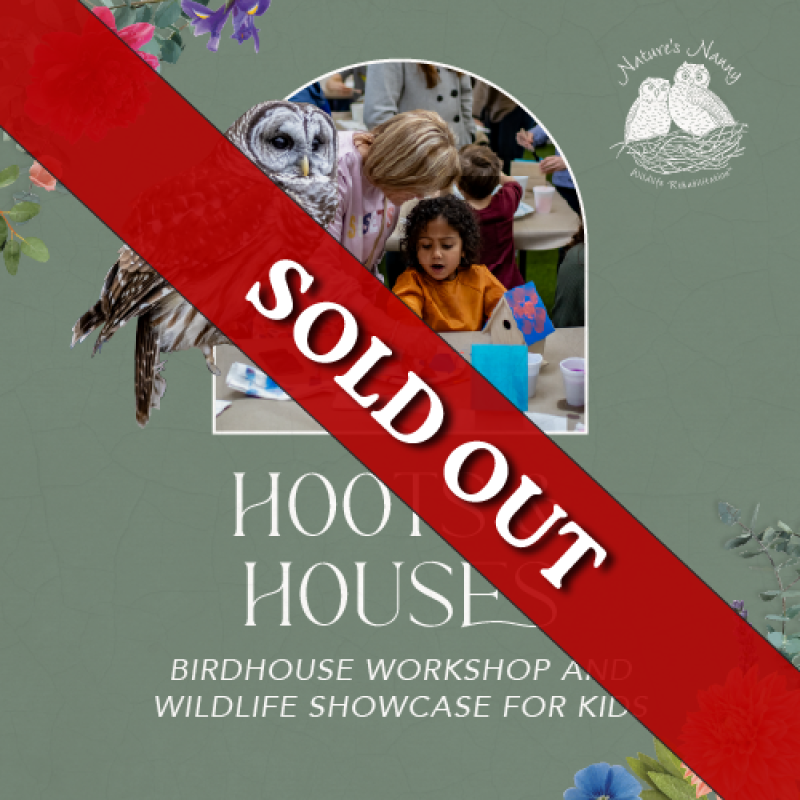 Hoots & Houses: Birdhouse Workshop and Wildlife Showcase for Kids