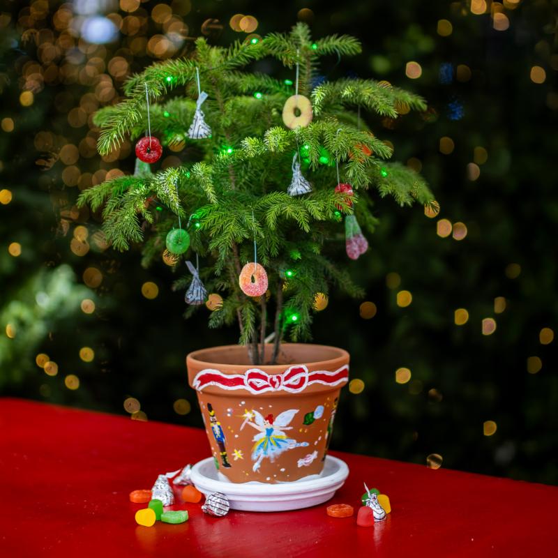 Sugar Plum Garden Workshop for Kids