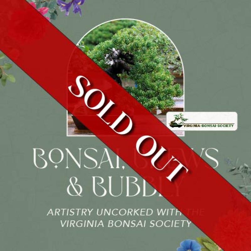 Bonsai, Brews & Bubbly: Artistry Uncorked with the Virginia Bonsai Society