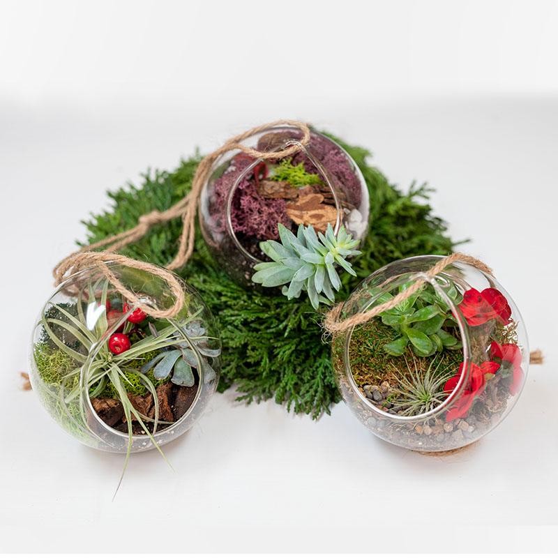 Living Ornament Workshop