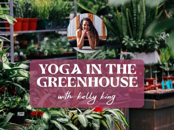 Yoga in the Greenhouse with Kelly King