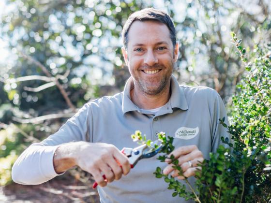 Growing with the Guru: Winter Pruning Seminar
