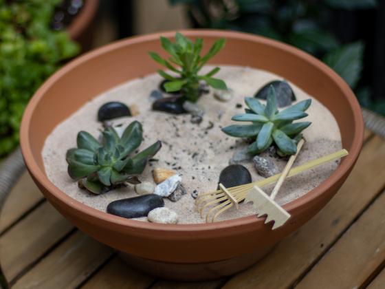 Build Your Own Zen Garden Workshop 