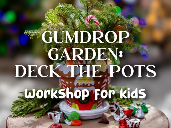 Gumdrop Garden - Deck the Pots Kids Workshop