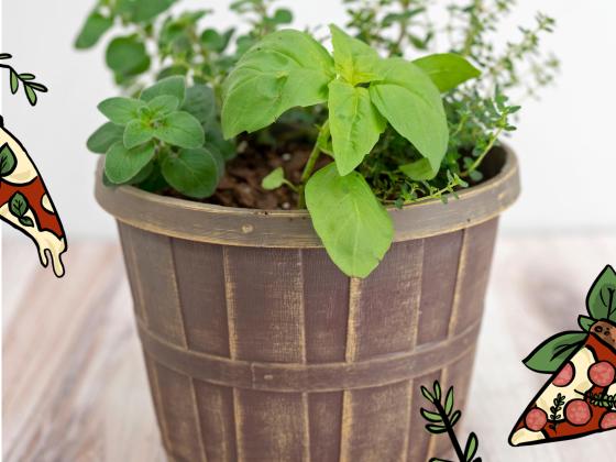 Pizza Garden Workshop for Kids