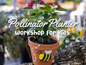 Pollinator Planter Workshop for Kids