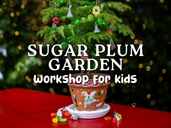 Sugar Plum Garden Workshop for Kids