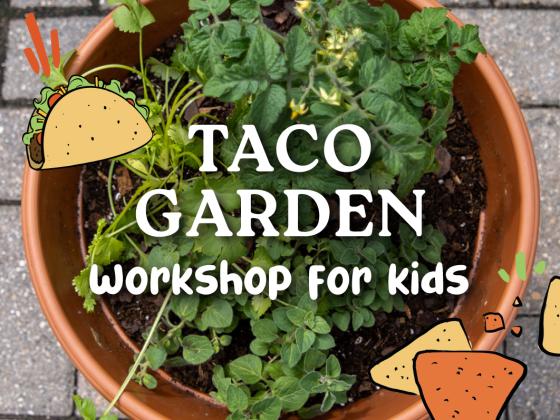 Taco Garden Workshop for Kids