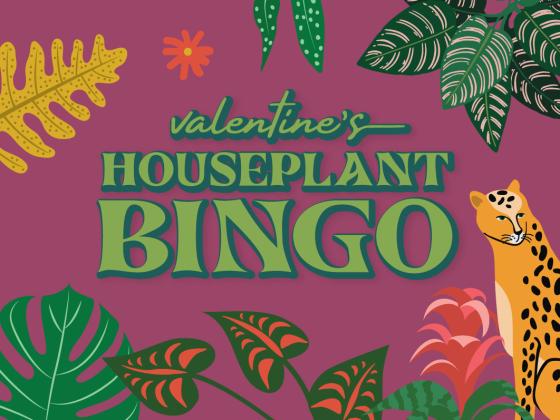 Valentine’s Houseplant Bingo