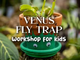 Venus Fly Trap Workshop for Kids