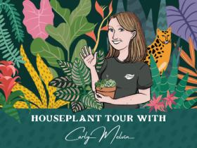 May Houseplant Tour with Carly Melvin