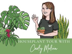 Houseplant Tour with Carly Melvin