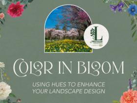 Color in Bloom: Using Hues to Enhance your Landscape Design