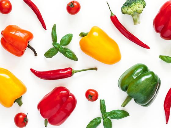 Edible Gardening: Growing Tomatoes & Peppers