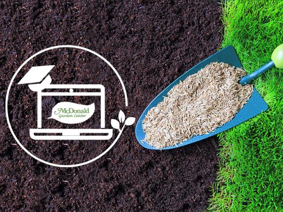 Facebook Live Webinar - Choosing the Best Grass Seed for Your Lawn