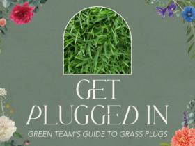 Get Plugged In: Green Team’s Guide to Grass Plugs