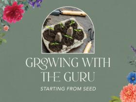 Growing with the Guru: Starting from Seed