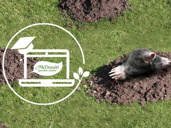 Solutions for Moles & Voles, McDonald Garden Center