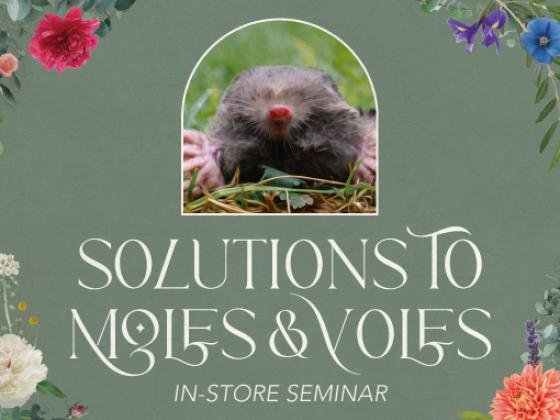 Solutions to Moles & Voles