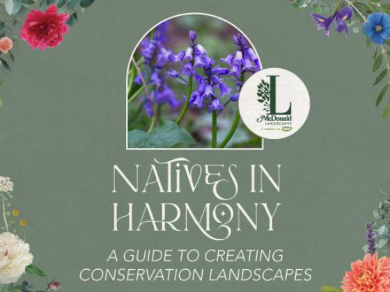 Natives in Harmony: A Guide to Creating Conservation Landscapes