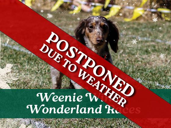 Weenie Winter Wonderland Races