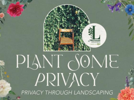 Plant Some Privacy: Privacy Through Landscaping