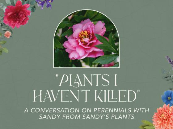 "Plants I Haven't Killed": A conversation on perennials with Sandy from Sandy's Plants