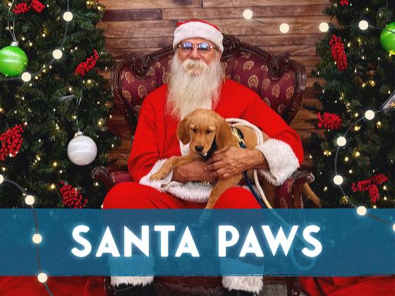 Santa Paws