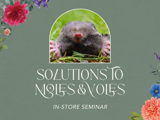 Solutions to Moles & Voles 