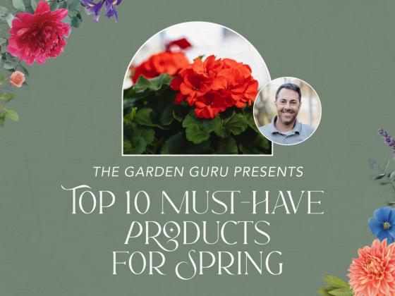 The Garden Guru Presents: Top 10 Must-Have Products for Spring