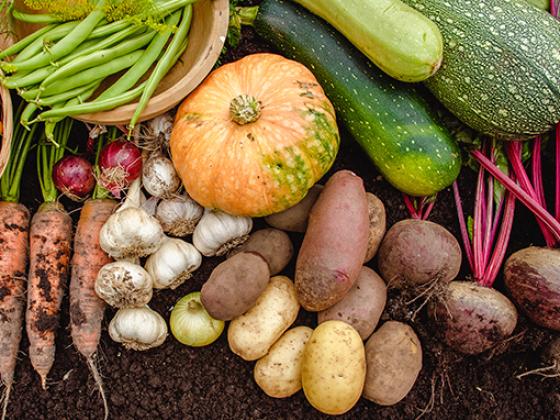 Edible Gardening: Fall Veggies Seminar