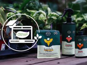 Houseplant Care from the Experts - “We the Wild” Review