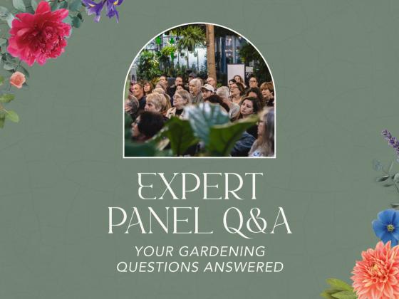 Expert Panel Q&A: Your Gardening Questions Answered