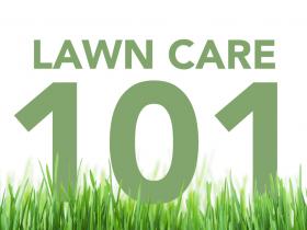 Lawn Care 101