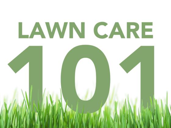 Lawn Care 101