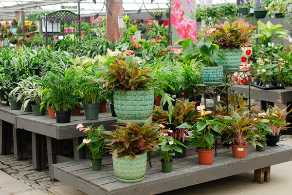 McDonald Garden Center Photo