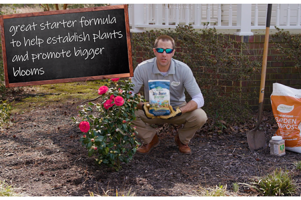 Bio-tone Starter Plus