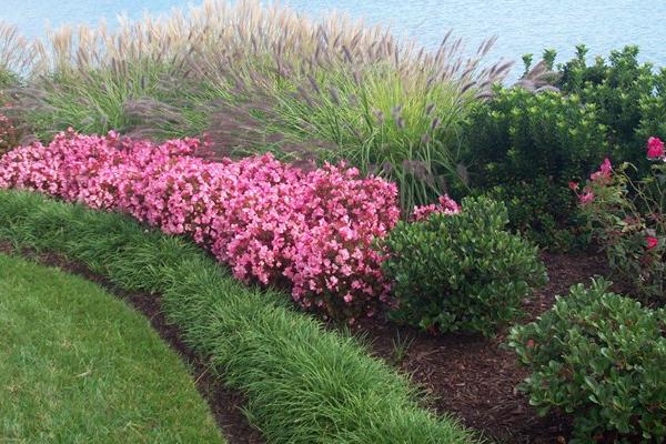 McDonald Garden Center Photo