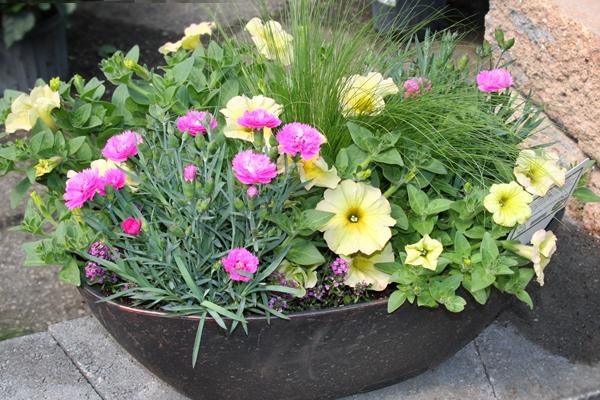 McDonald Garden Center Photo