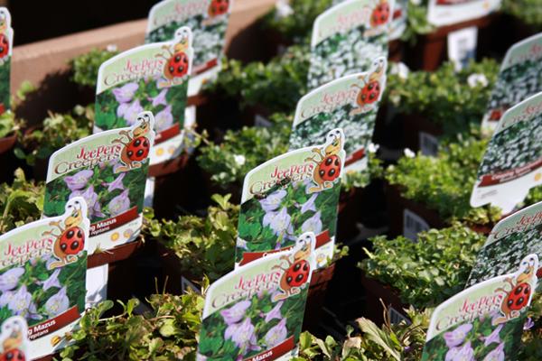 McDonald Garden Center Photo