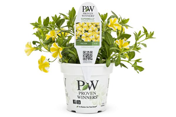 McDonald Garden Center Photo