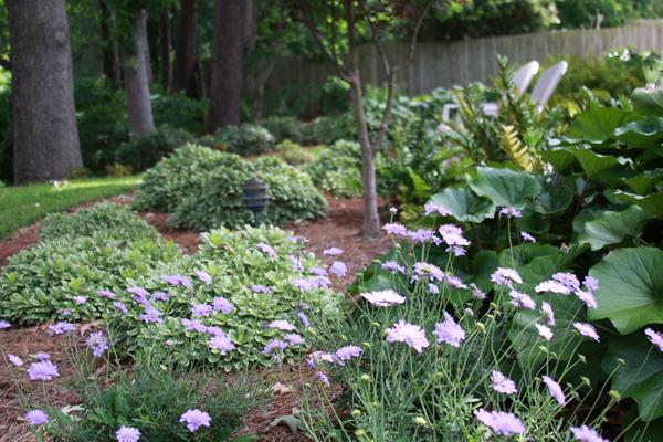 McDonald Garden Center Photo