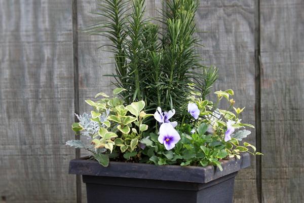 McDonald Garden Center Photo