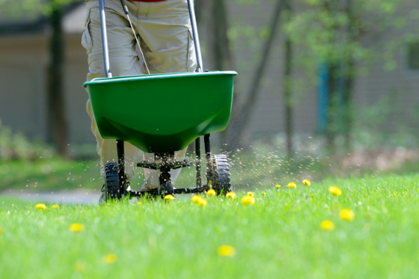 Lawns, McDonald Garden Center