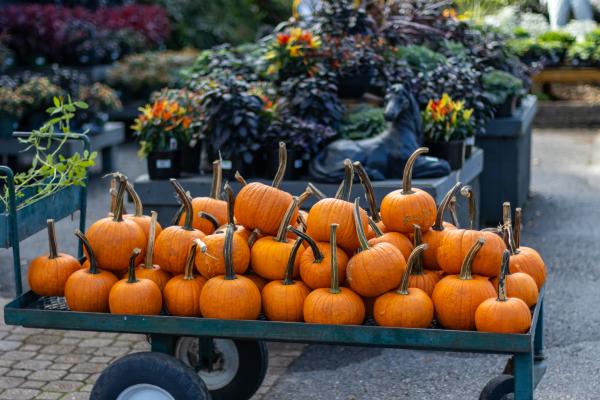 How to Style Your Porch with Pumpkins