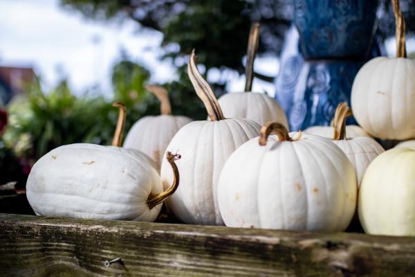 5 Creative Ways to Decorate Your Porch with Pumpkins This Fall